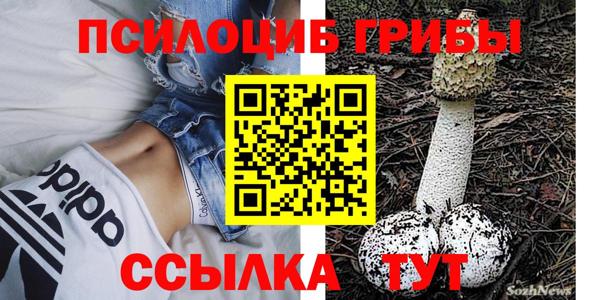 Псилоцибиновые грибы MAGIC MUSHROOMS  Вход с VPN  Каменка 